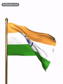 spot_img